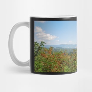 Landscape Around Gracisce Mug